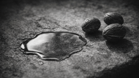 アルガンオイルの美容効果とは？肌・髪への働きをわかりやすく解説